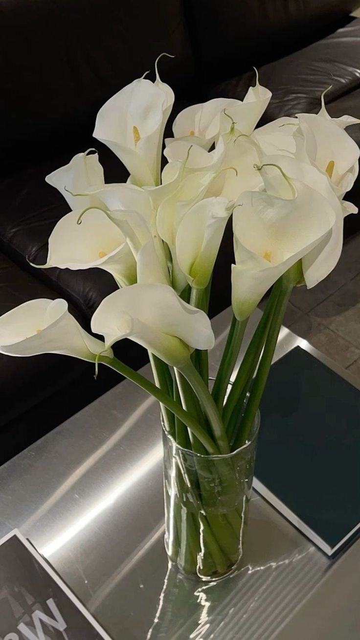 Orchid