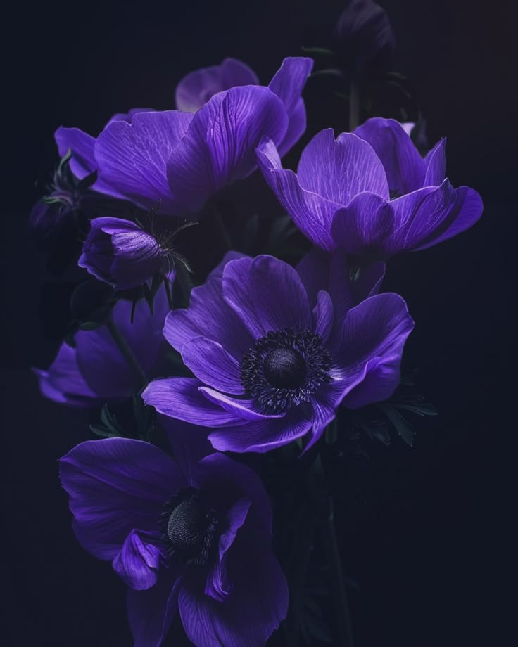 Violet